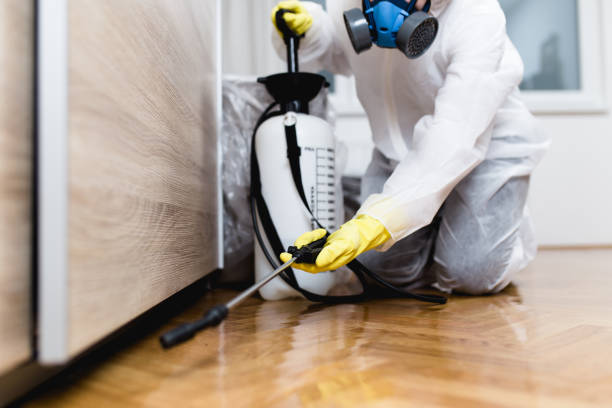 Best Termite Control Services  in Rshfield Hills, MA