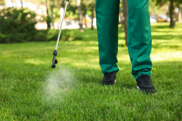 Best Exterminator Services  in Rshfield Hills, MA