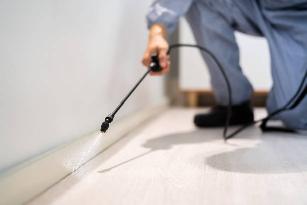 Best Wildlife Control Services  in Rshfield Hills, MA