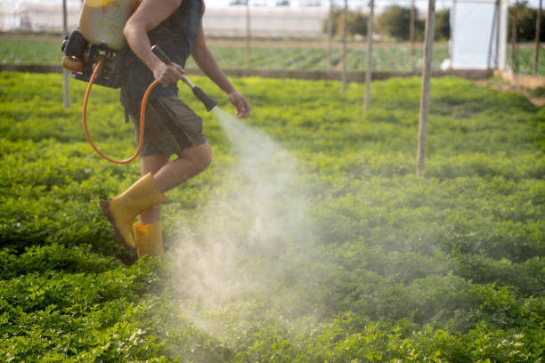 Best Pest Prevention Services  in Rshfield Hills, MA
