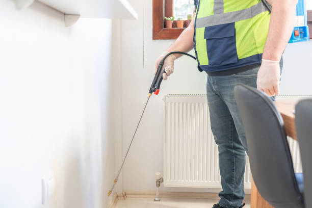 Best Local Pest Control Services  in Rshfield Hills, MA