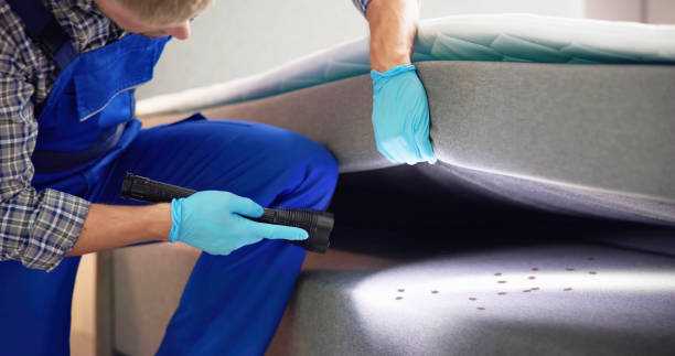 Best Flea Control Services  in Rshfield Hills, MA