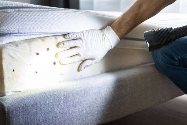 Marshfield Hills, MA Pest Control Company