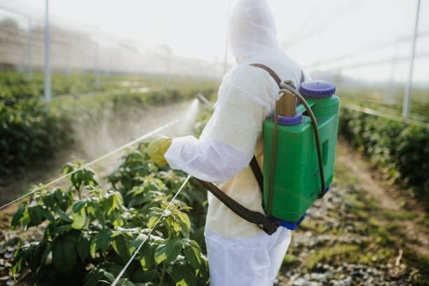 Best Best Pest Control Companies  in Rshfield Hills, MA
